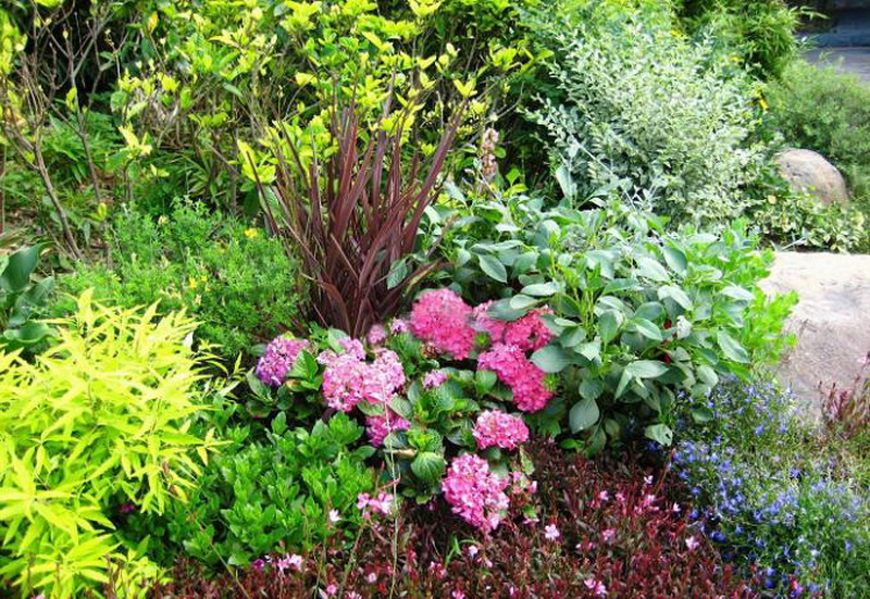 人生就是搏(中国集团)官方网站