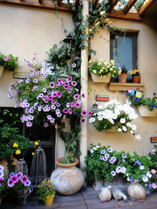 人生就是搏(中国集团)官方网站